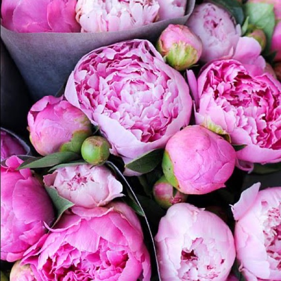 Meet your Posher ππ₯°ππ₯°π - Picture 4 of 8